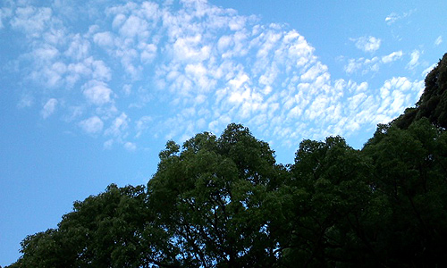 ファイル 108-1.jpg