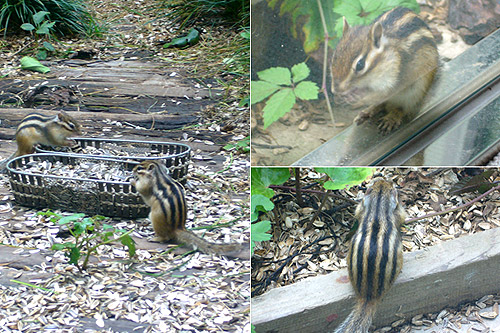 ファイル 111-1.jpg