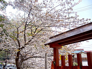 ファイル 12-2.jpg