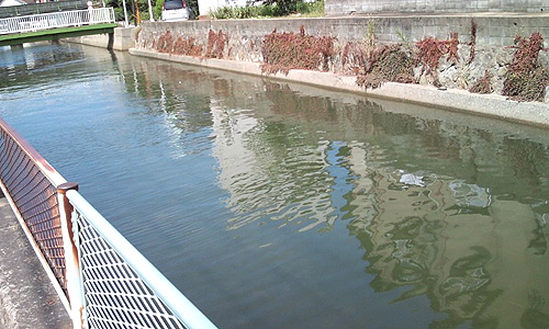 ファイル 130-1.jpg