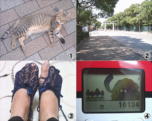 ファイル 143-1.jpg