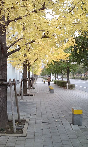 ファイル 160-2.jpg