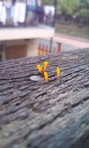 ファイル 179-1.jpg