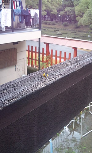 ファイル 179-2.jpg