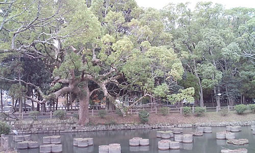 ファイル 187-1.jpg