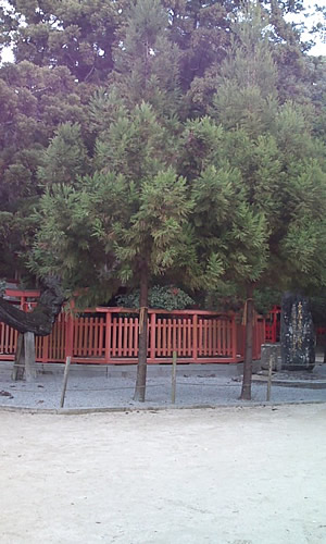 ファイル 200-1.jpg