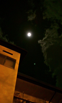 ファイル 37-1.jpg