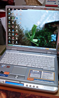 ファイル 38-1.jpg