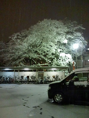 ファイル 40-2.jpg