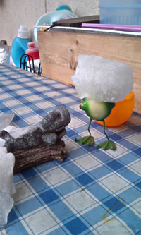 ファイル 41-1.jpg