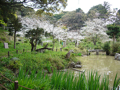 ファイル 45-1.jpg