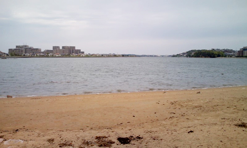 ファイル 58-1.jpg