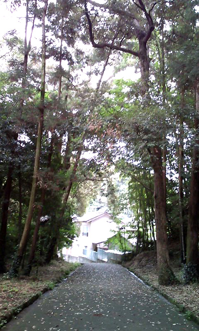 ファイル 97-1.jpg