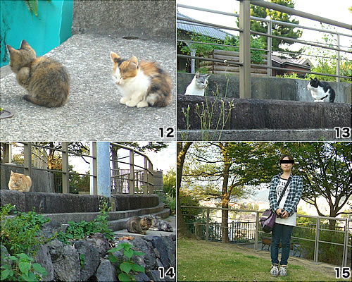 写真12・13・14・15